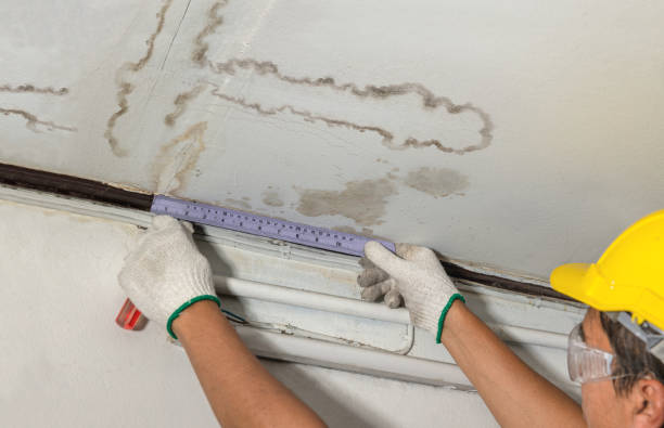 Reliable Water Damage Repair contractor in Poth, TX by Hirex Water Damage